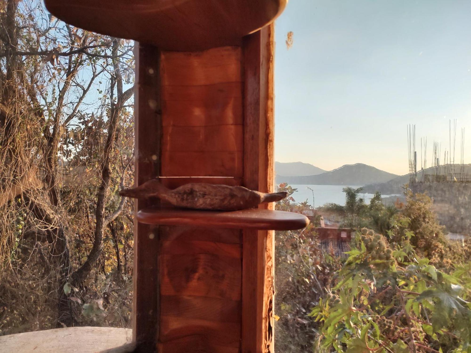 El Encinal De Las Flores Valle de Bravo Pokoj fotografie